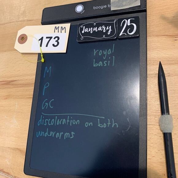 Ralph Lauren Shirt Mens S Royal Blue Cotton Stretch Check Classic Fit *READ - Picture 9 of 10